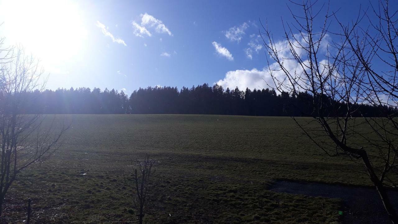 Ferienwohnung Gruengut Weckersdorf Esterno foto