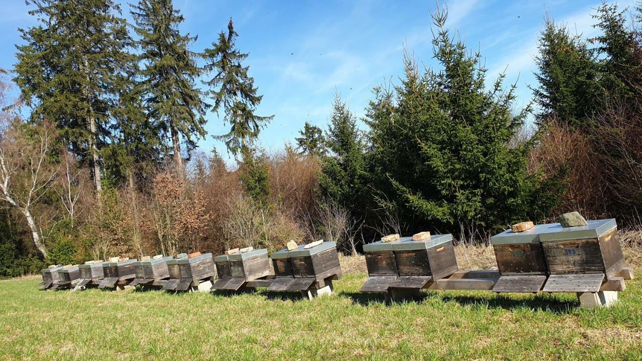 Ferienwohnung Gruengut Weckersdorf Esterno foto